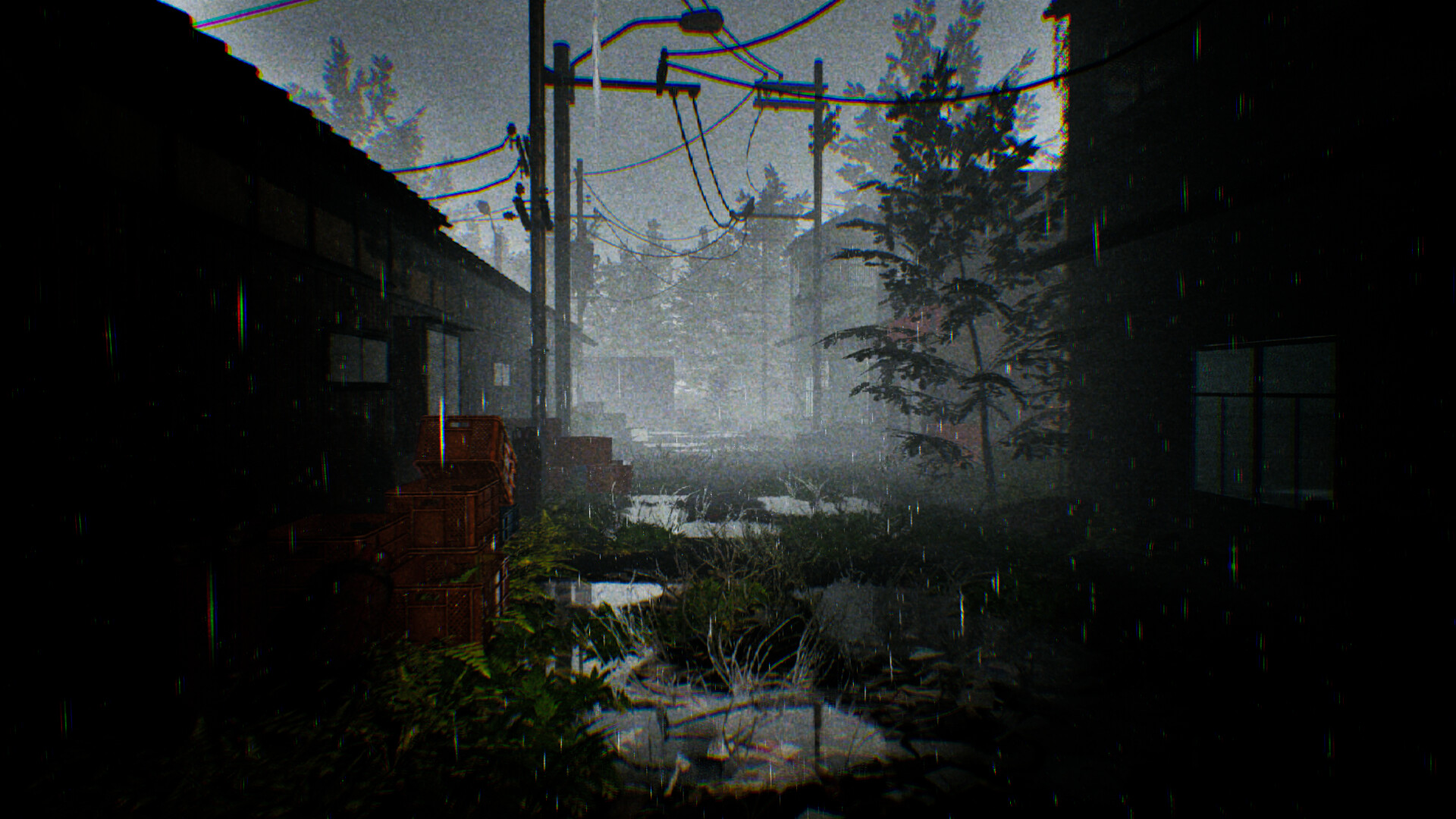 A screenshot from TARO IS BACK